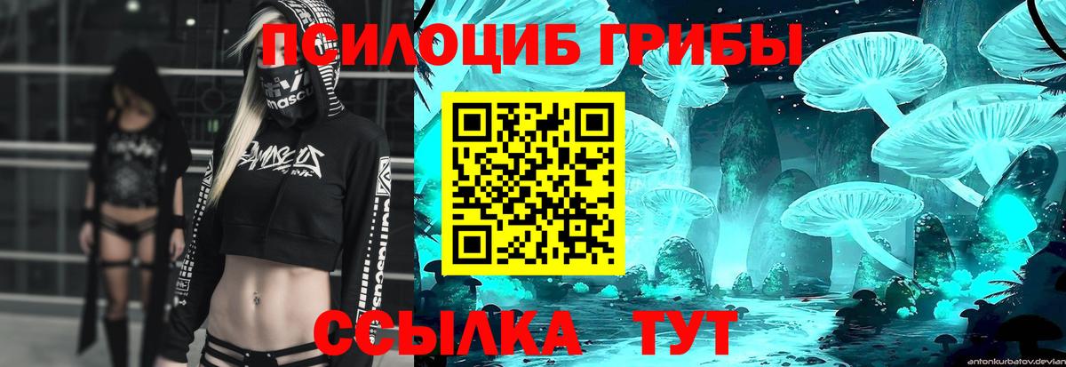 Галлюциногенные грибы Magic Shrooms  Вход с VPN  Псилоцибиновые грибы GOLDEN TEACHER  Заволжье 