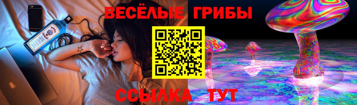 Псилоцибиновые грибы Psilocybe Заволжье